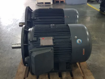 30 kw (40 HP) AC 1000 Devir (d/d) Trifaze Elektrik Motoru (Flanşlı Tip) - 1