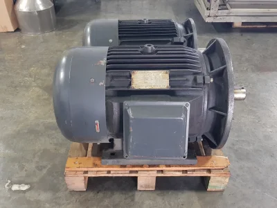 37 kw (50 HP) AC 1000 Devir (d/d) Trifaze Elektrik Motoru (Flanşlı Tip) - 2